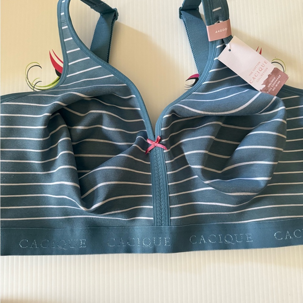 Cacique Teal and White Striped Bra with Pink Bow